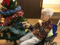 樹の里特養ブログ