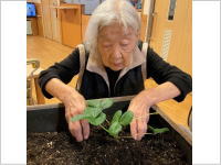 樹の里特養ブログ