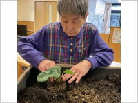 樹の里特養ブログ