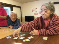 ���V�������̗�