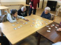 ���V�������̗�