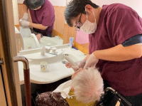 ���̗����{�u���O