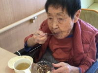 ���̗����{�u���O